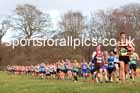 Senior Mens 2023 NEHL, Alnwick, Northumberland. Photo: David T. Hewitson/Sports for All Pics